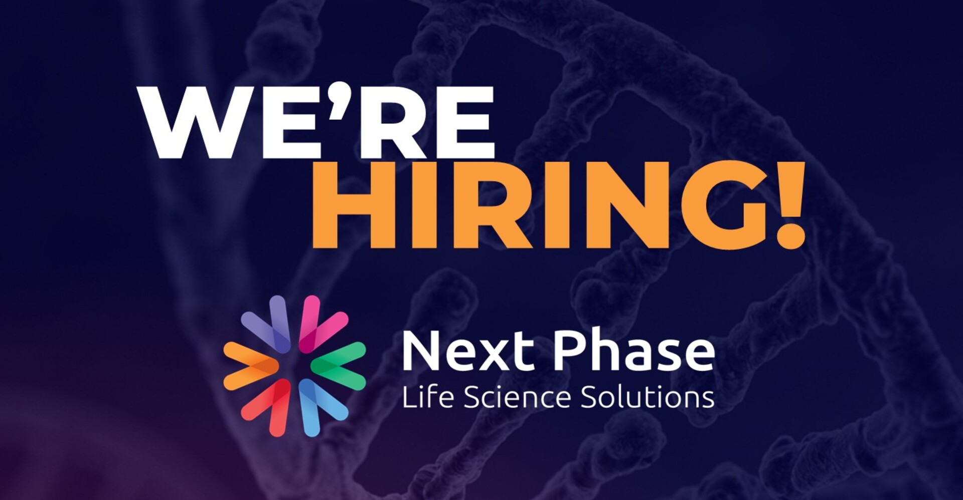 Next Phase Recruitment is hiring trainee recruitment consultants to join our team in Horsham, West Sussex, UK. If you are a bright, ambitious individual looking for a career in the staffing industry, please give Steve Twinley at Next Phase a call on 01403 216216 to discuss job opportunities in recruitment 