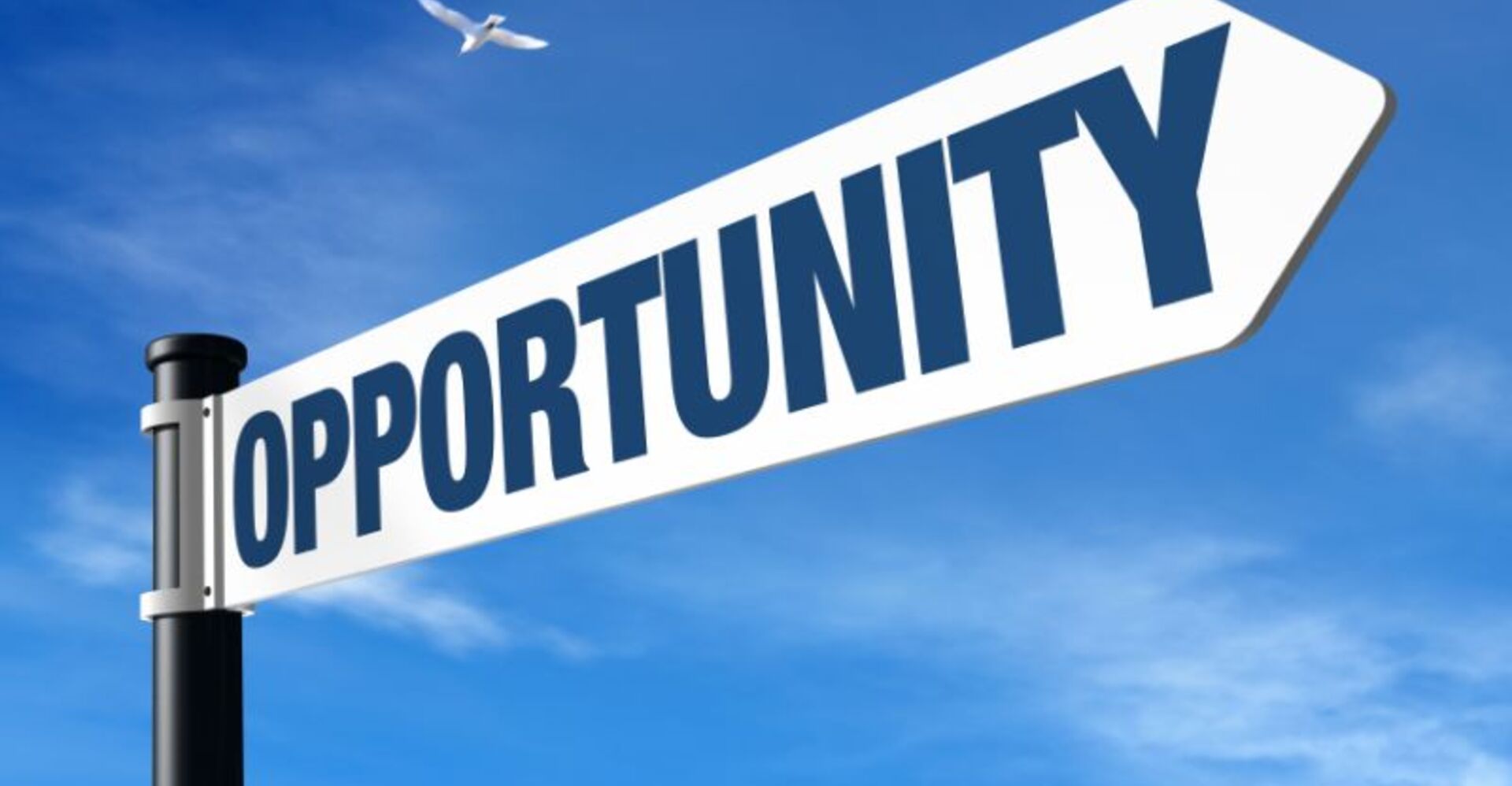 Opportunity