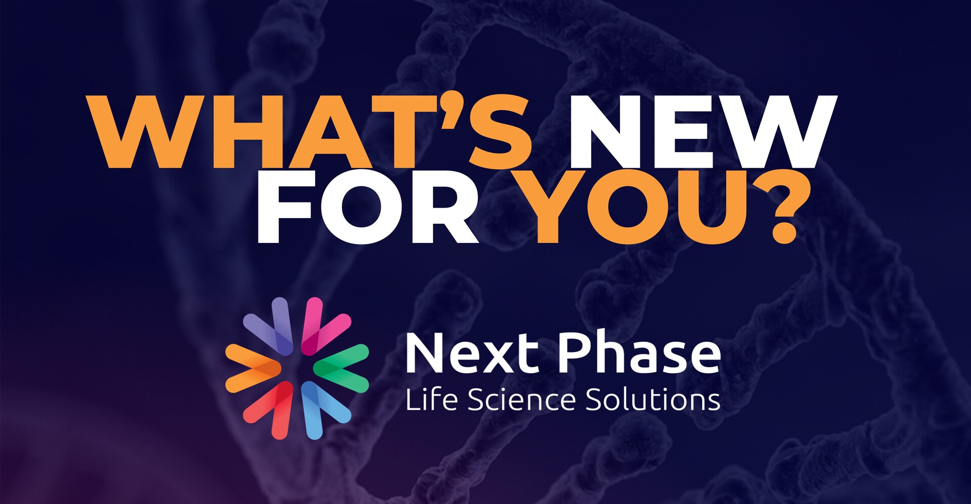 Next Phase- What's new for you?