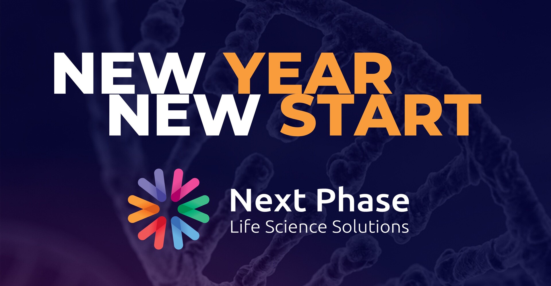 New Year New Start