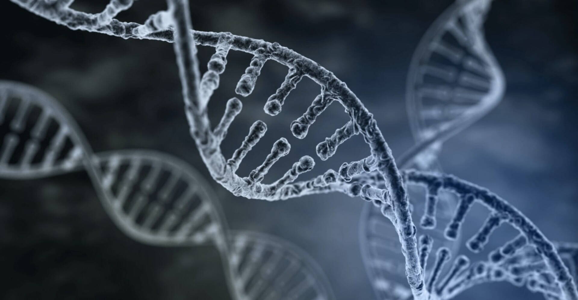 Looking for a new job in cell and gene therapy or a scientific career? Next Phase Recruitment image of a DNA helix, used in T-cell Gene Therapy research, development and GMP manufacture of personalised medicines