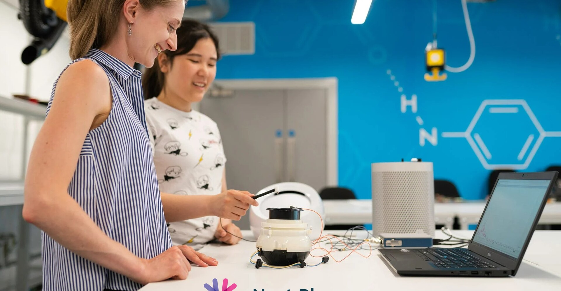 Next Phase Recruitment- International Day of Women and Girls in Science  