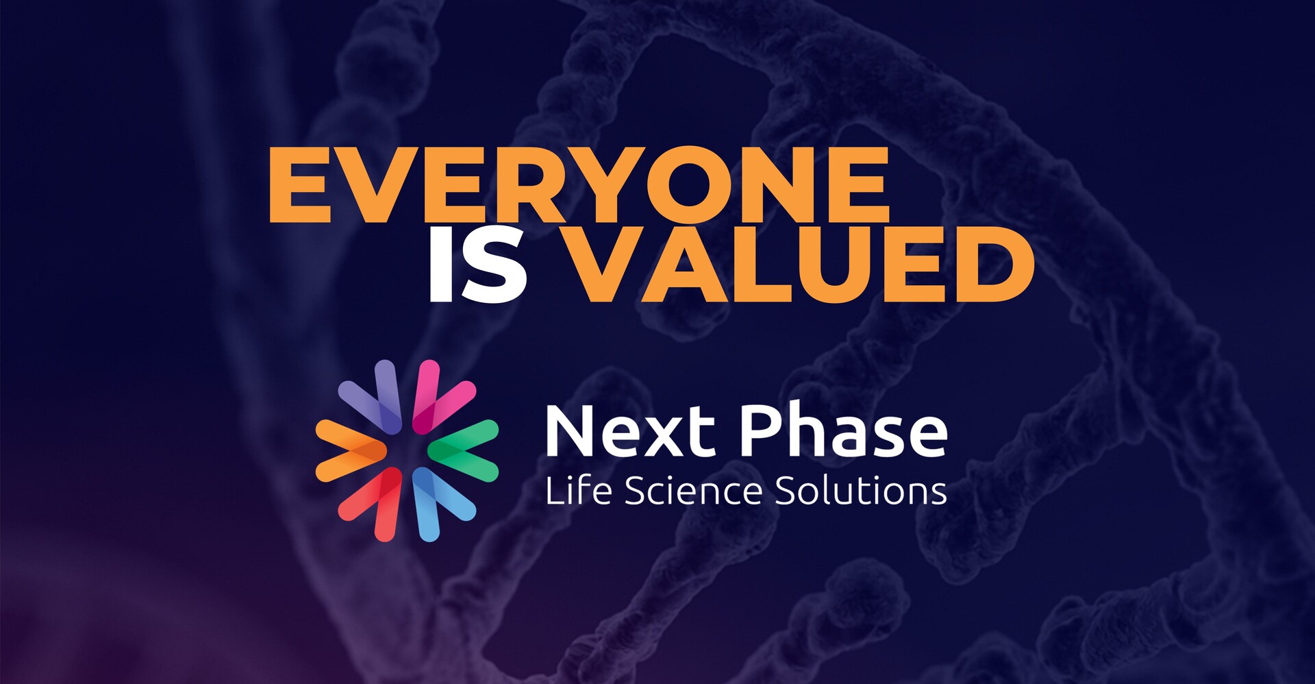 Next Phase - Everyone Is Valued