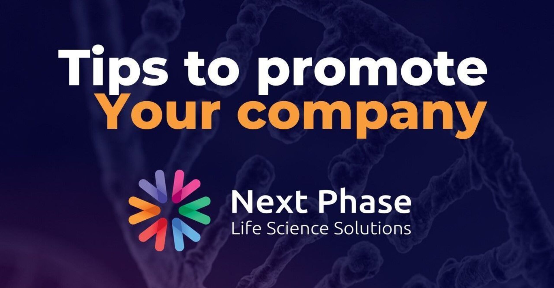 Tips To Promote Your Company - Next Phase Recruitment