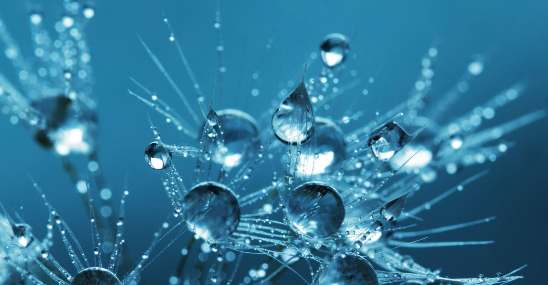 Next Phase Recruitment based in Horsham, West Sussex, offer our services to provide contract, temporary and interim staffing solutions, and contractors to help with key projects and other temporary assignments in the pharma, biotech, med devices, IRT and informatics and ATMP sectors 